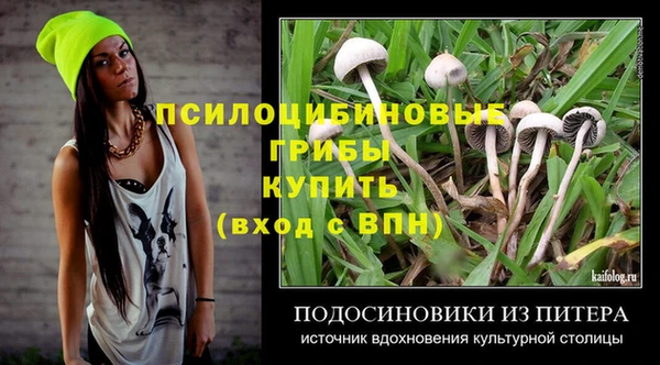 крисы Беломорск